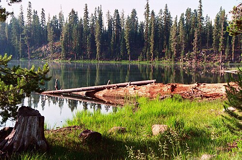 Lassen National Forest